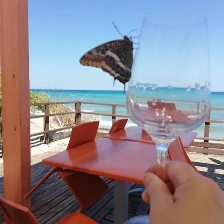 Attico Galilei D. Apartment *