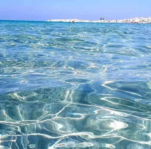 Apartamento Attico Galilei D. *