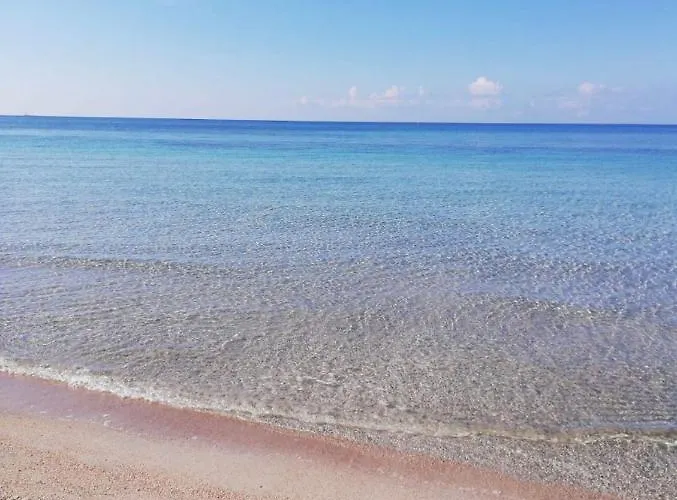 Apartamento Attico Galilei D.