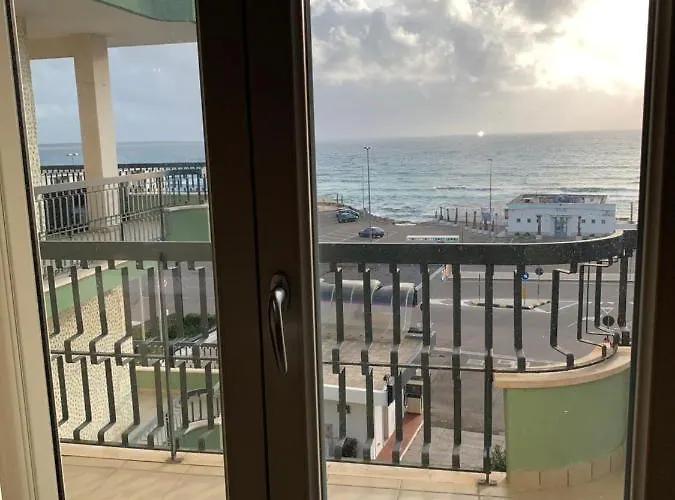 Attico Galilei D. * Gallipolli